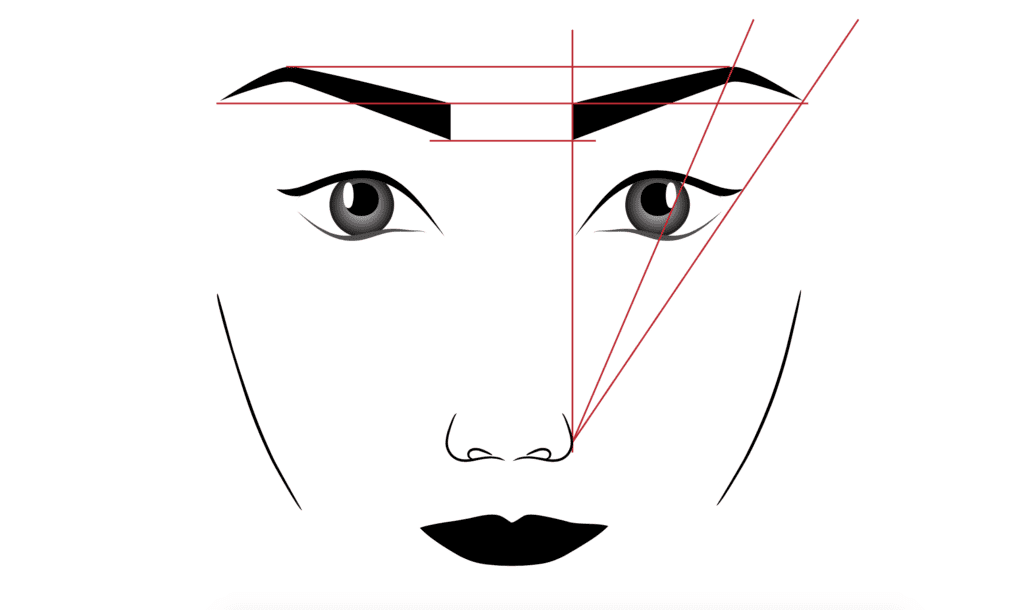 How Your Nose & Eyes Shape Your Brows 3